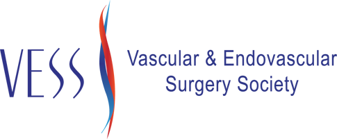 Vascular & Endovascular Surgery Society