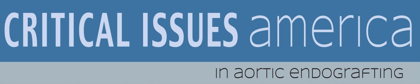 Critical Issues America
